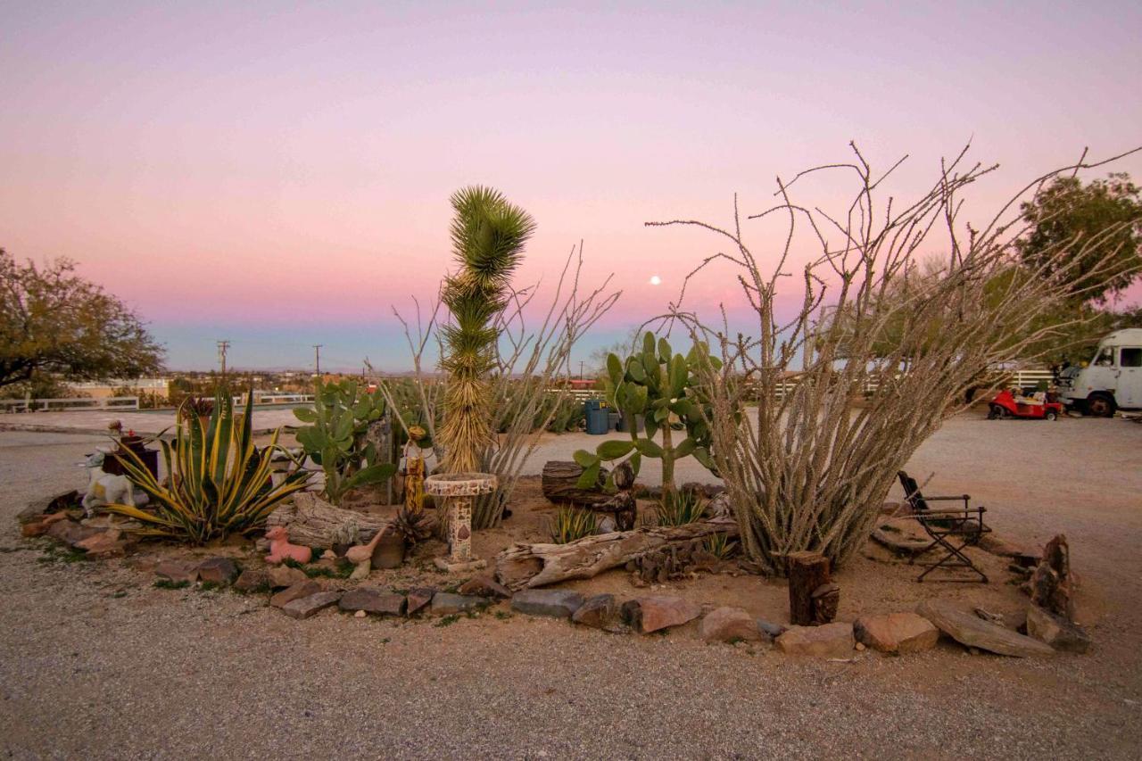 Joshua Tree Ranch Houseモーテル エクステリア 写真